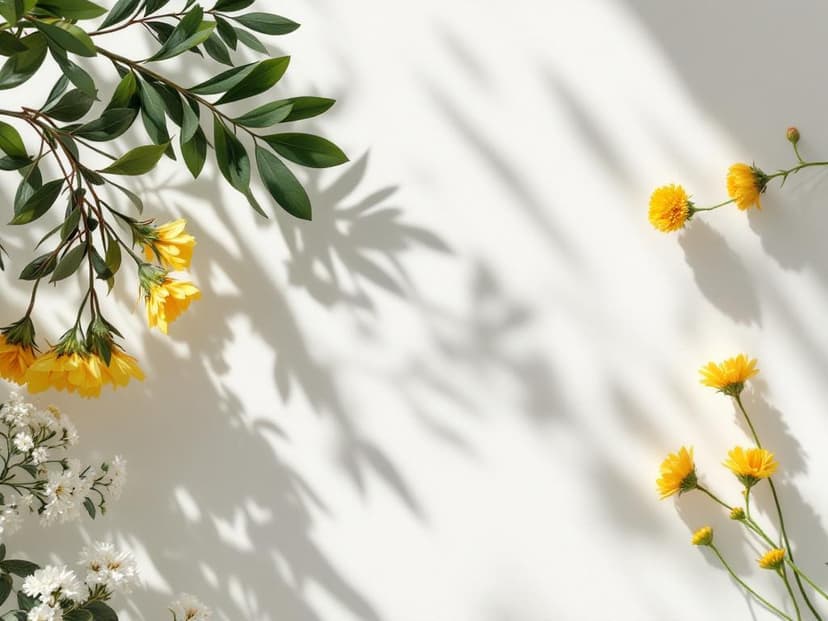 Exploring the Future: Email Verification in the Era of Quantum Computing